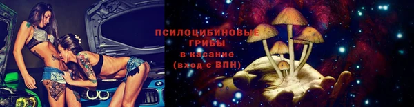 твердый Пестово