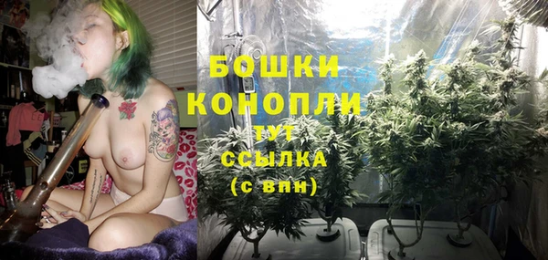 Альфа ПВП Гвардейск