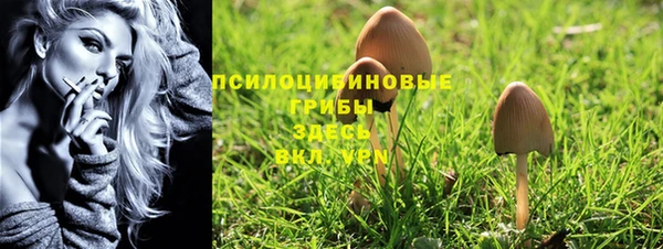метадон Осинники