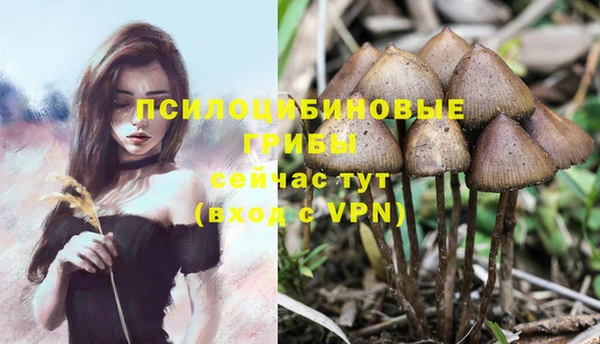 крисы Переславль-Залесский