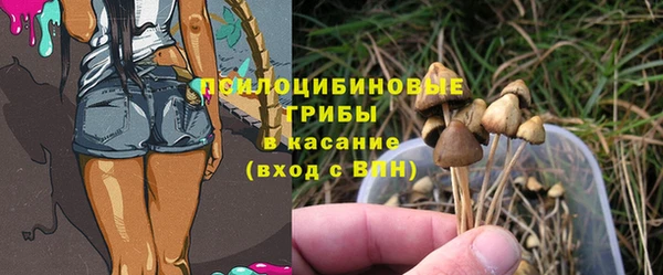 герыч Осташков